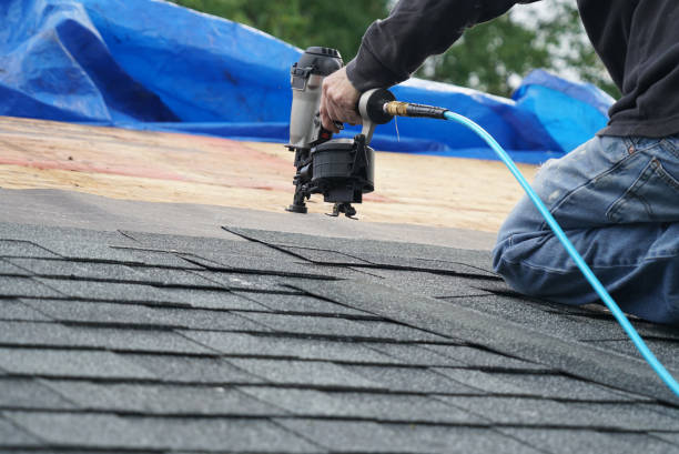 Best Roof Gutter Cleaning  in Berry Creek, CA