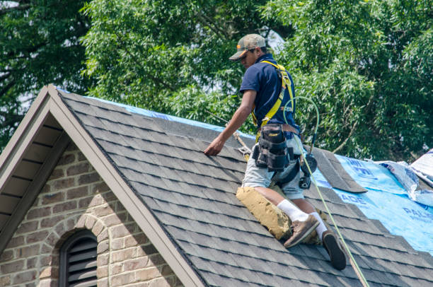 Best Roof Repair Services  in Berry Creek, CA